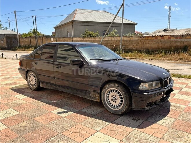 BMW 316-4