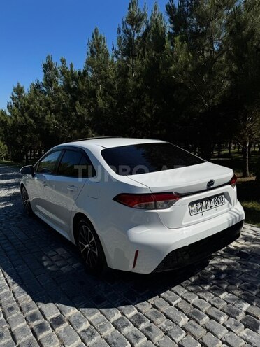 Toyota Corolla Levin-5