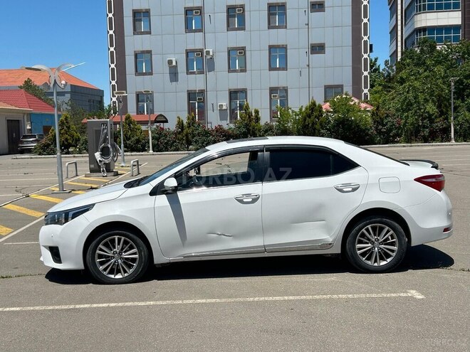 Toyota Corolla-4