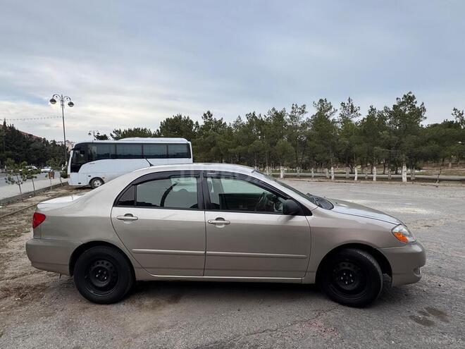 Toyota Corolla-4
