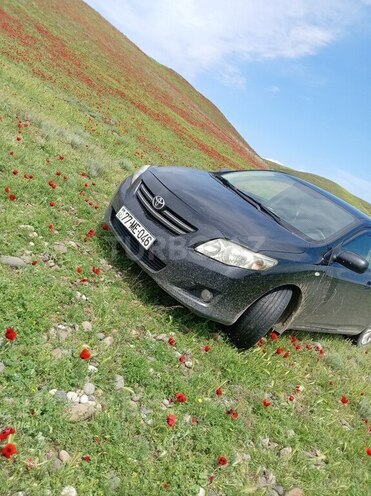 Toyota Corolla-6
