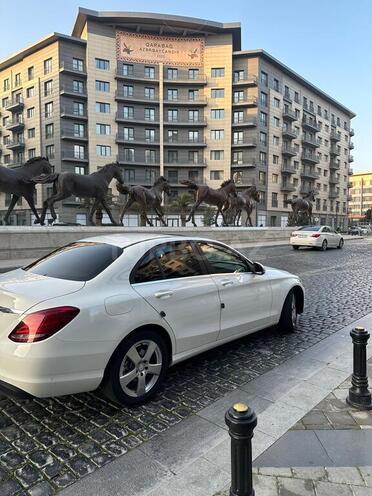 Mercedes C 220 d 4MATIC-3