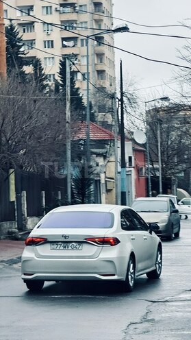 Toyota Corolla-21