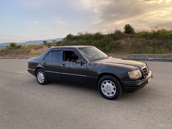 Mercedes 250 D-3