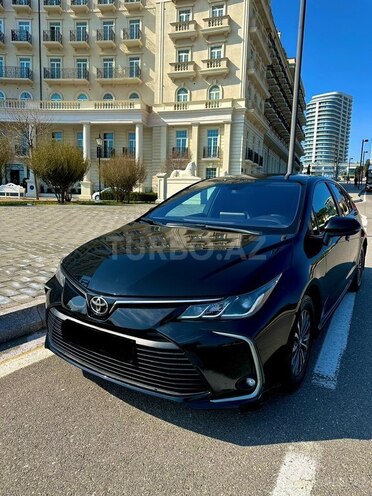 Toyota Corolla-6