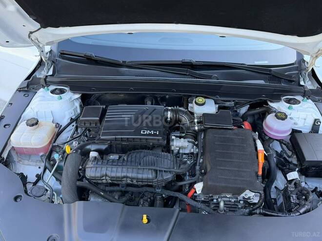 BYD Destroyer 05-10