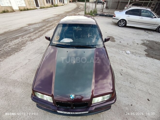 BMW 316-7