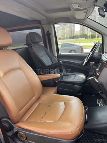 Mercedes Viano-9