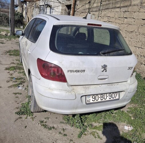 Peugeot 307-3