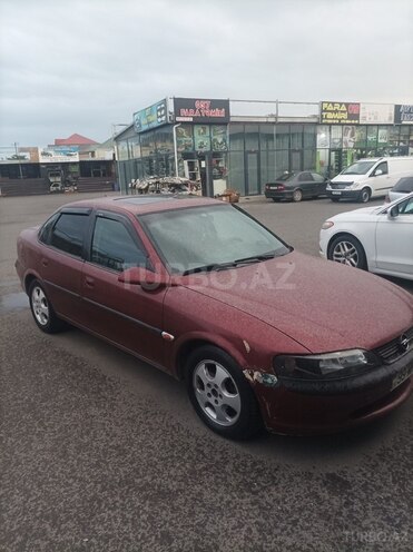 Opel Vectra-4