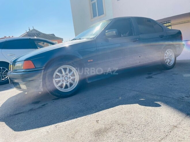 BMW 318-4