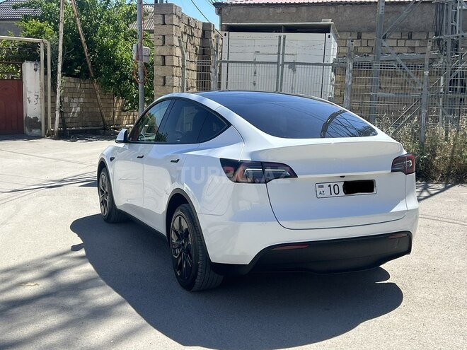 Tesla Model Y-4