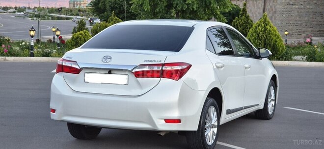 Toyota Corolla-8