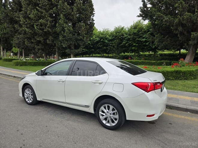 Toyota Corolla-6