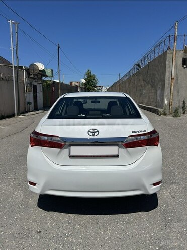 Toyota Corolla-4