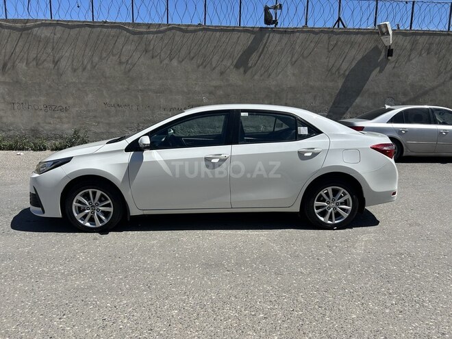 Toyota Corolla-6