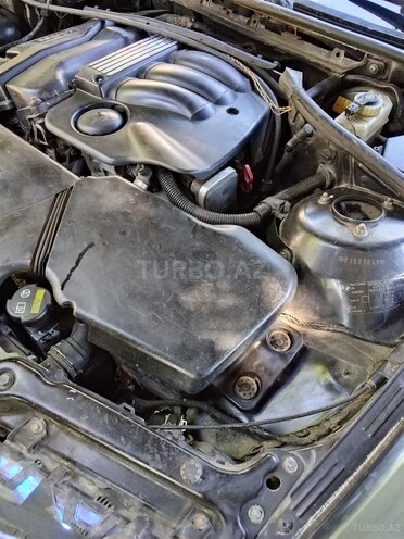 BMW 318-13