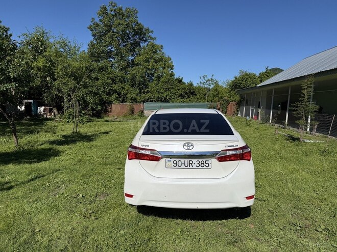 Toyota Corolla-4