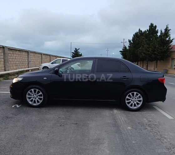 Toyota Corolla-6