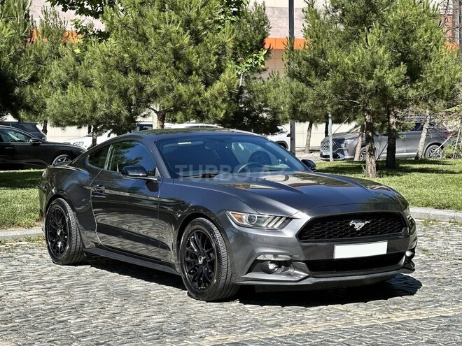 Ford Mustang-2