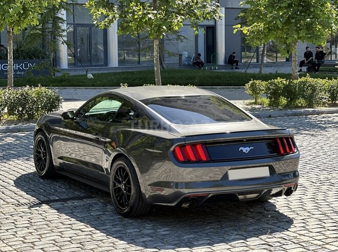 Ford Mustang-5