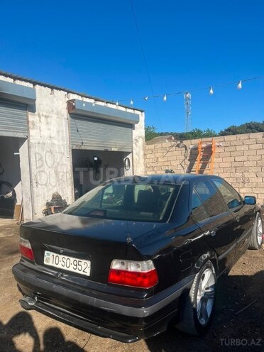 BMW 316-3