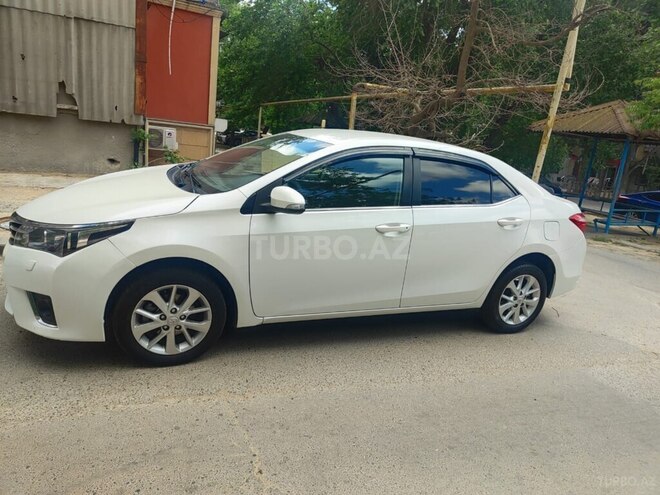 Toyota Corolla-3