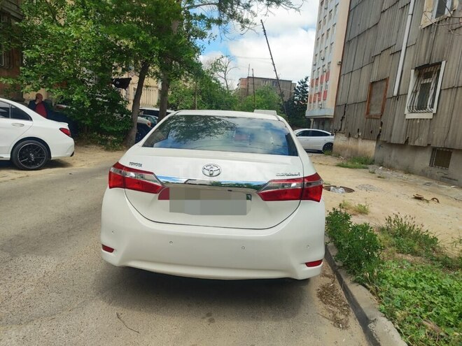 Toyota Corolla-4