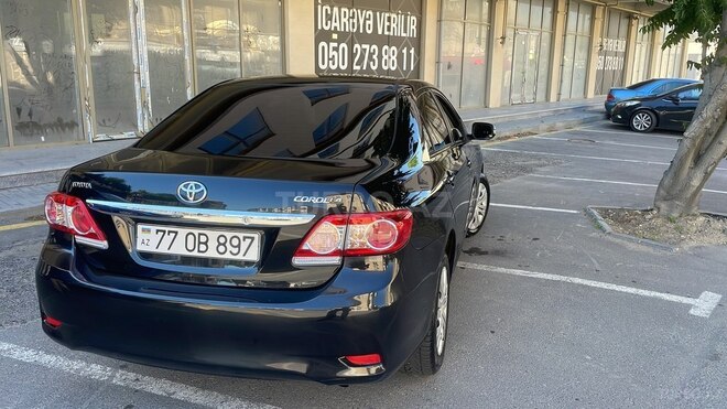Toyota Corolla-6