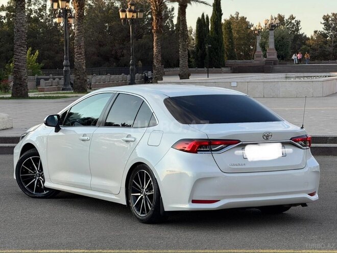 Toyota Corolla-4