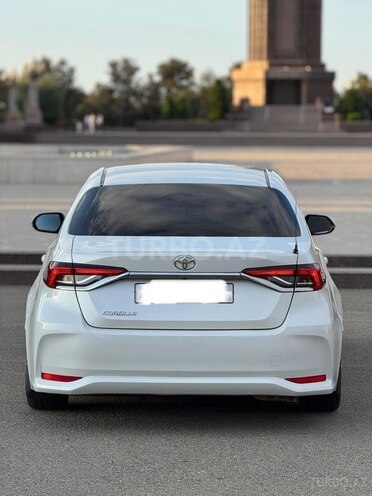 Toyota Corolla-6