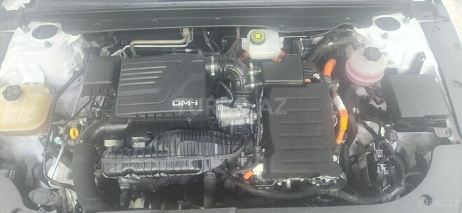 BYD Destroyer 05-13