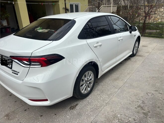 Toyota Corolla-4