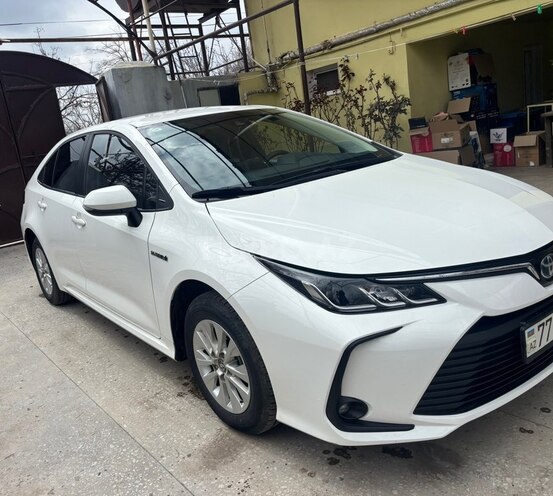 Toyota Corolla-5