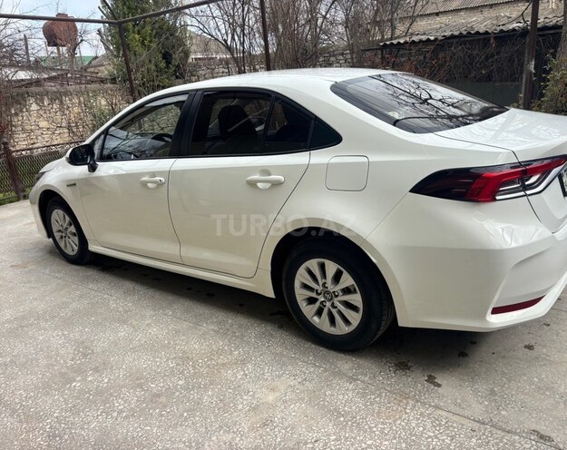 Toyota Corolla-6