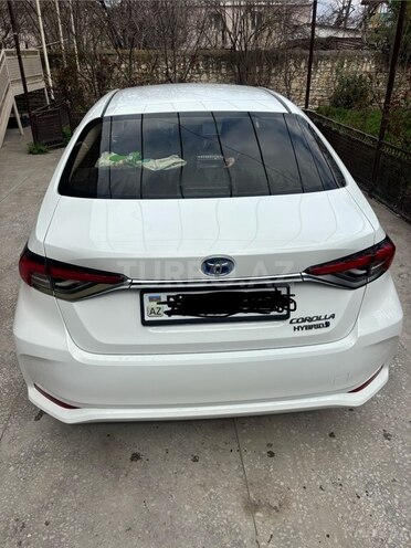 Toyota Corolla-3