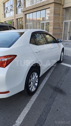 Toyota Corolla-4