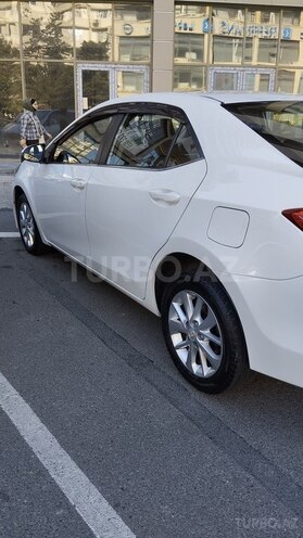 Toyota Corolla-6