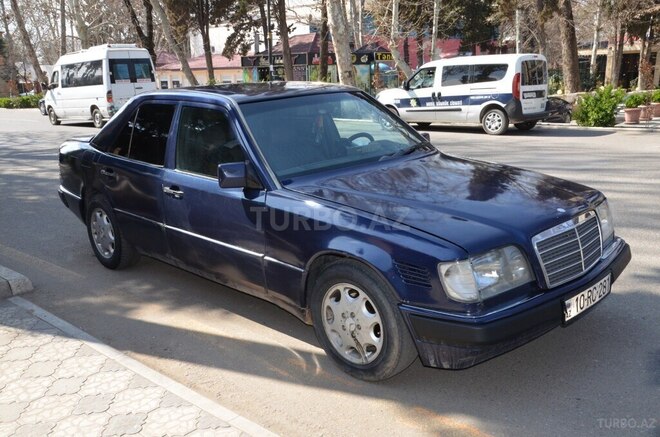 Mercedes 250 D-1
