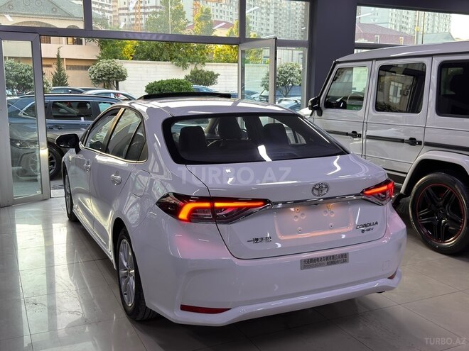 Toyota Corolla-7