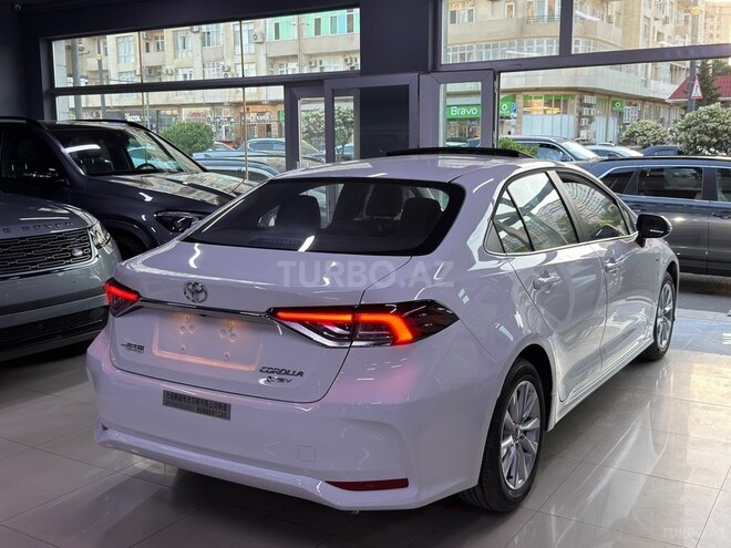 Toyota Corolla-6