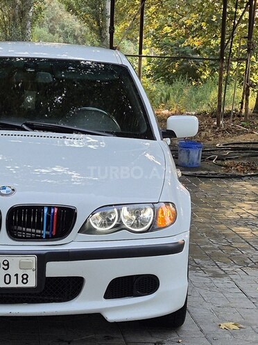 BMW 318-13