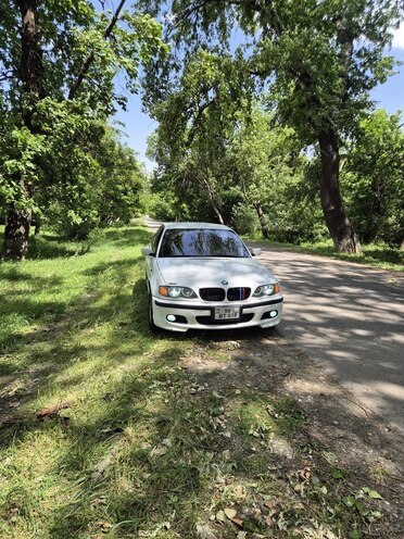 BMW 318-2