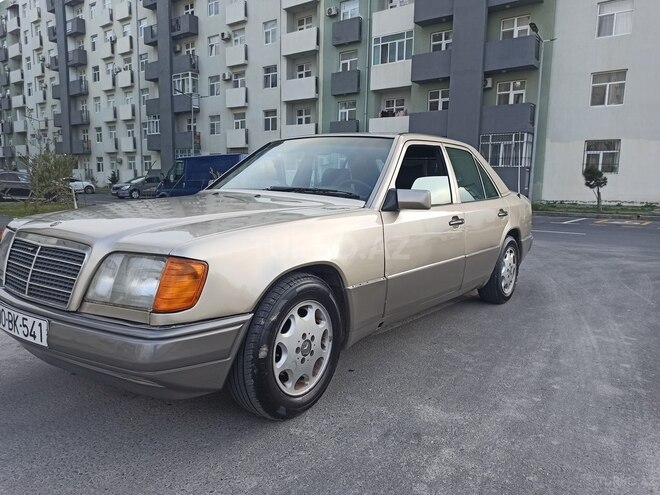 Mercedes 250 D-10