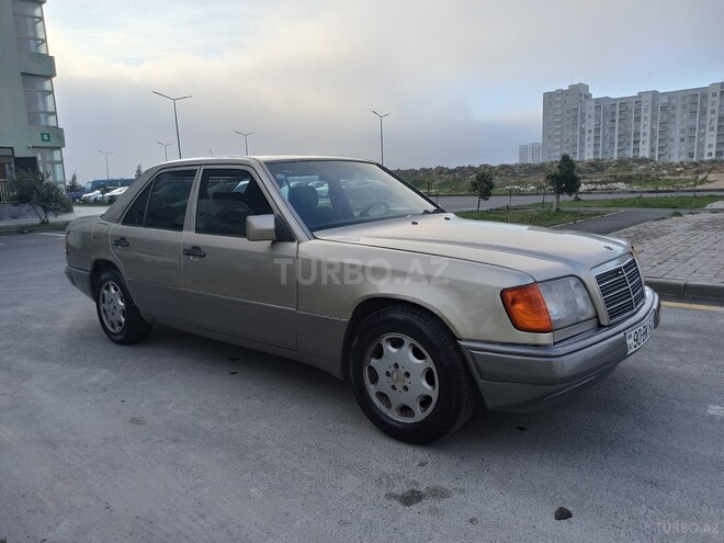 Mercedes 250 D-9