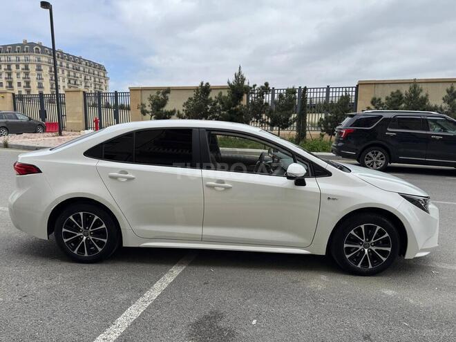 Toyota Corolla-3