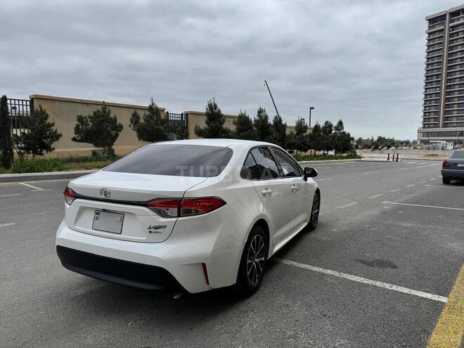 Toyota Corolla-4