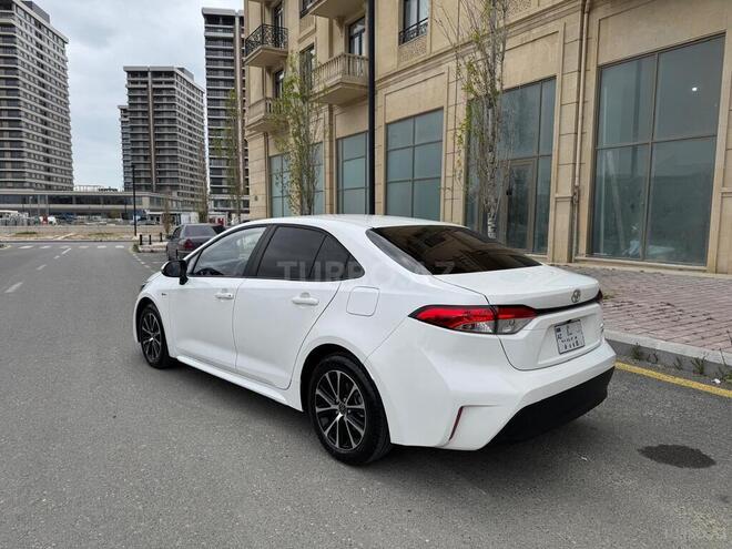 Toyota Corolla-5