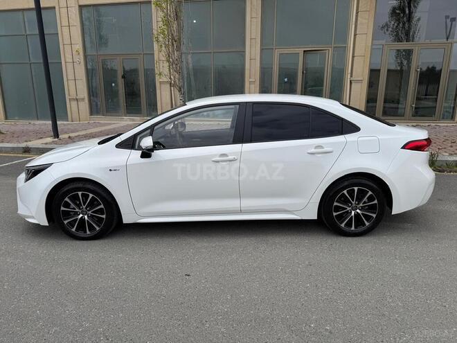 Toyota Corolla-6