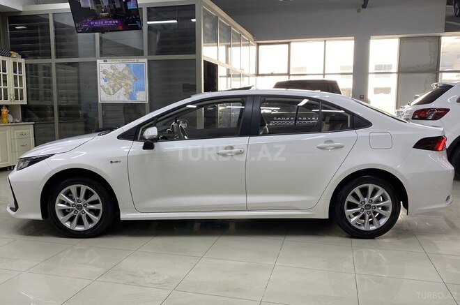 Toyota Corolla-7